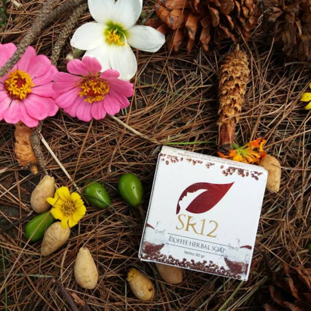 Obat bekas jerawat, obat flek hitam, sabun herbal kopi SR12