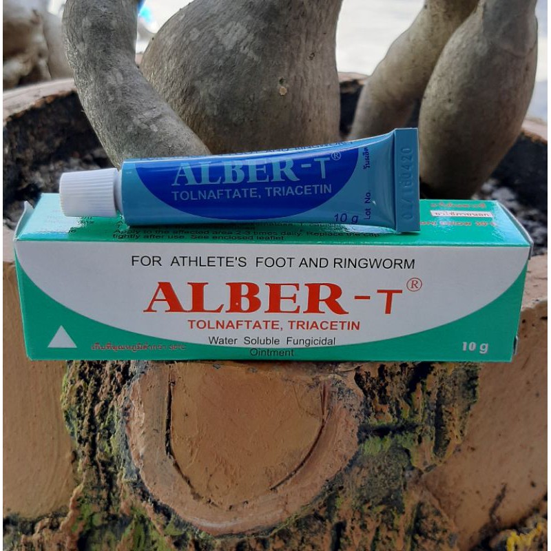 albert-t