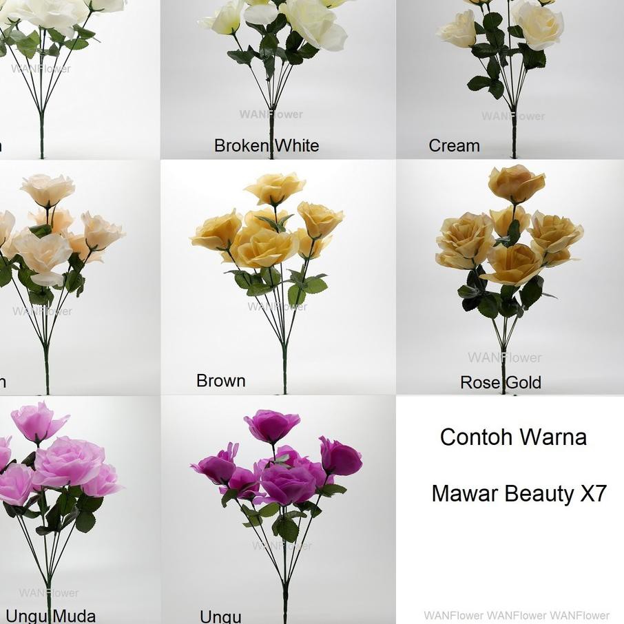 Barang Bagus Wanflower Bunga Mawar Beauty X7 Tosca V Shopee Indonesia