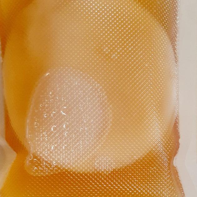 

Ready 9q Bibit Scoby Jamur Kombucha Tea HG Laris'