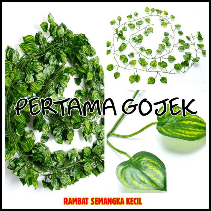 Lusinan Rambat Kecil/Daun Rambat Plastik/Bunga Plastik/Rumput Plastik - Semangka Kecil