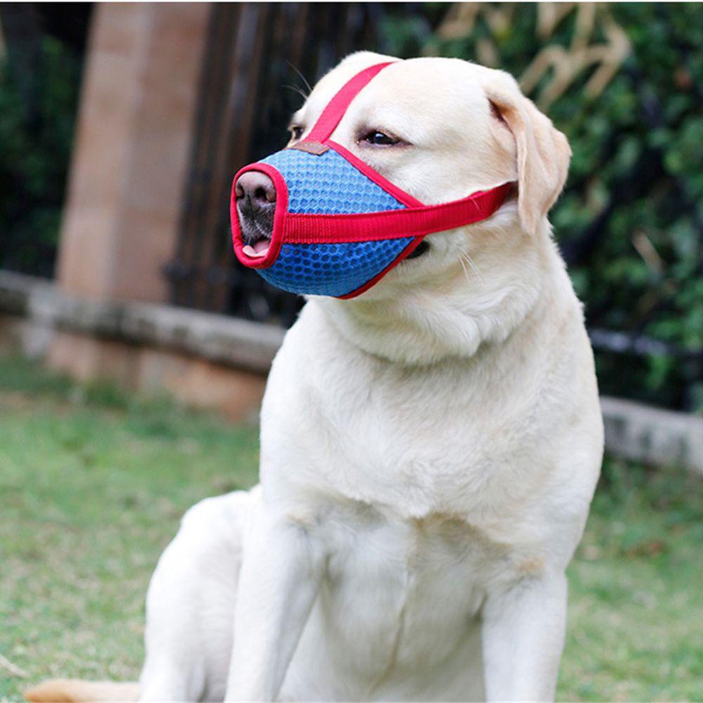 Solighter Anjing Moncong Upgrade Drinkable Adjustable Anti-lick