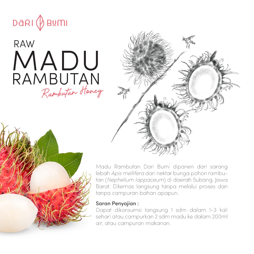 Madu Murni Rambutan 650 gr Dari Bumi Madu Asli Premium