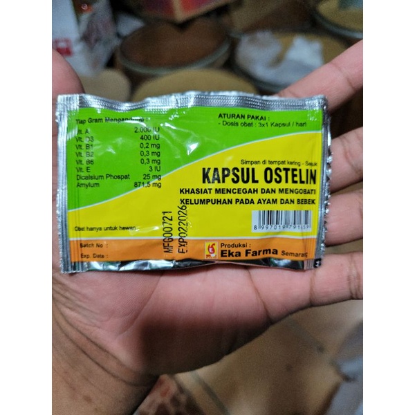 obat ayam lumouh ostelin