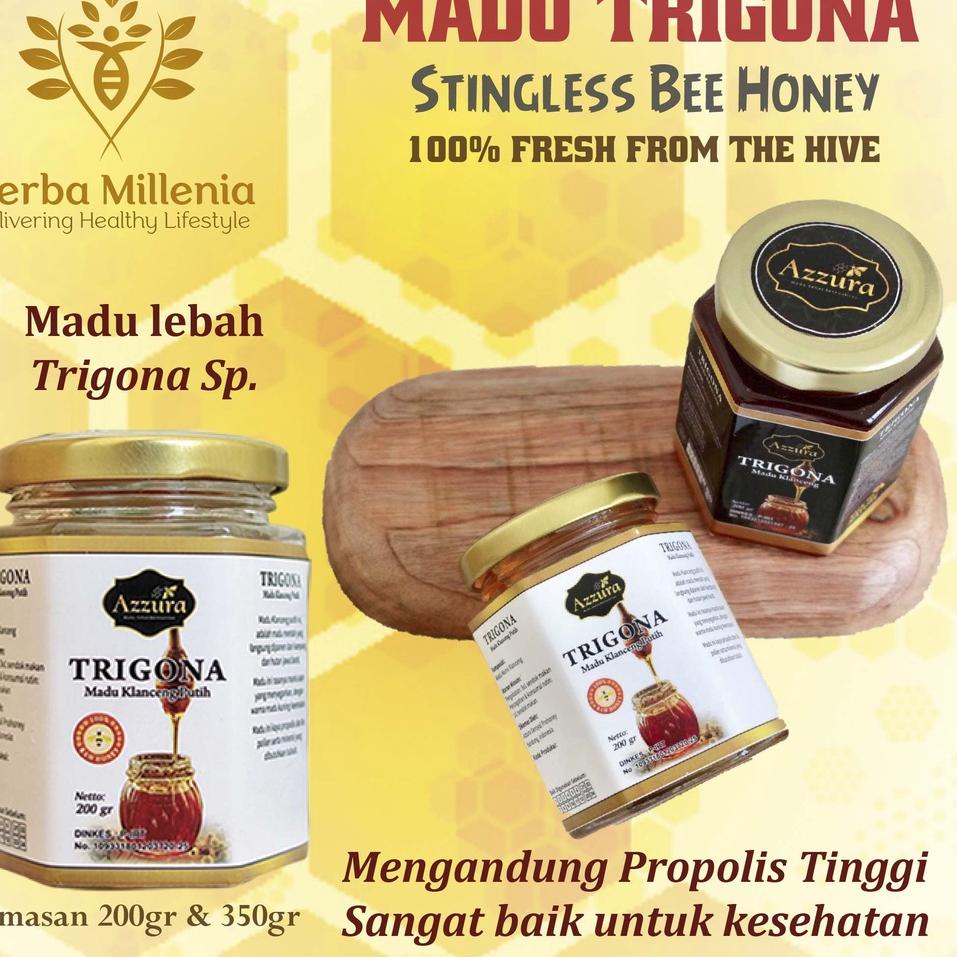 

Pro produk! Madu Trigona | Madu Klanceng | Madu Propolis Asli Azzura