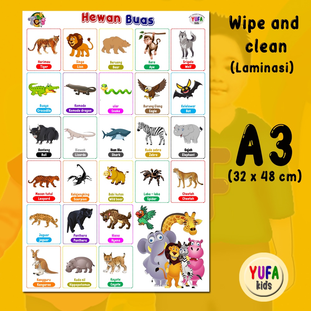 023 Poster hewan buas - poster binatang buas - Poster Edukasi Anak - Poster belajar anak - Poster wi