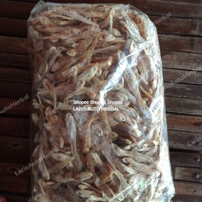

Ikan asin teri pangandaran