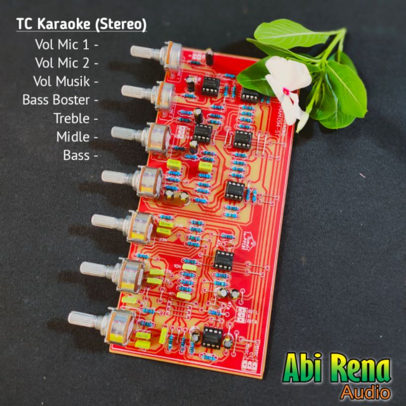Kit TC Karaoke Stereo