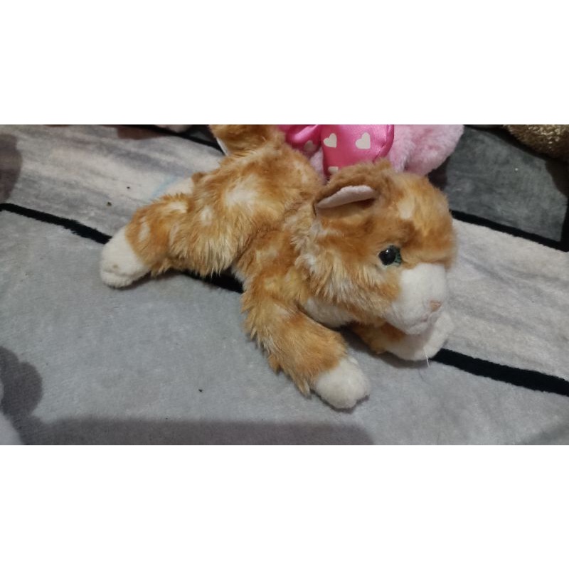 Boneka Prelove Import lucu Kucing