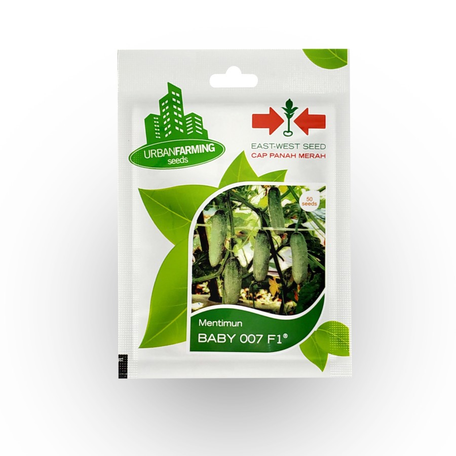 Benih Mentimun BABY 007 F1 Isi 50 Seeds Benih Mentimun Unggulan