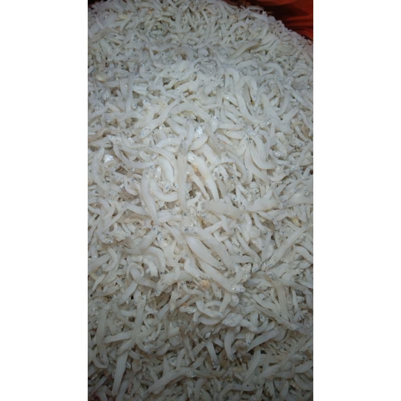 

teri TAUGE Medan Murah 500gr