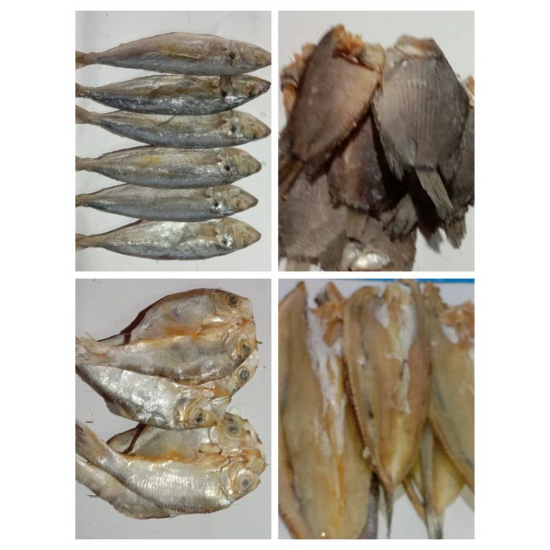 

Ikan Asin Japu / Bilis / Tembakang / Bloso (250g)