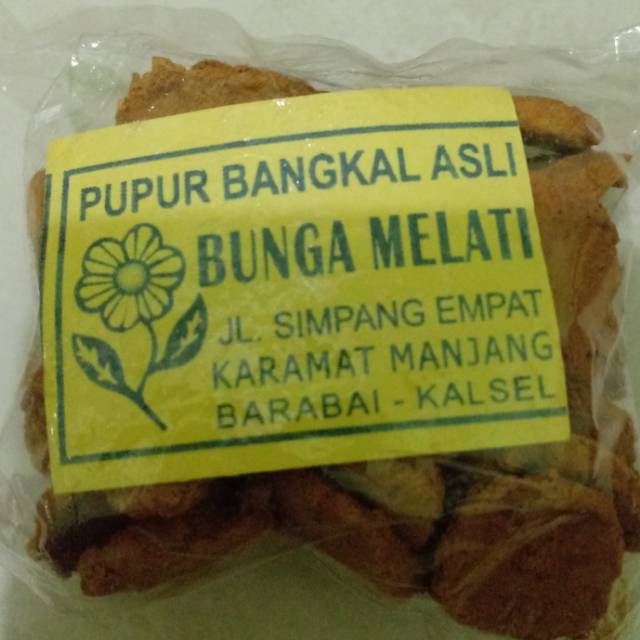 Pupur Bangkal melati