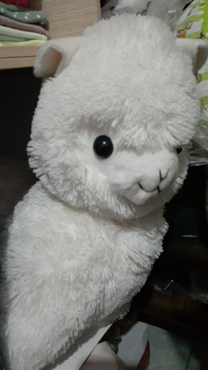 Nota Live Boneka 10k - 55k