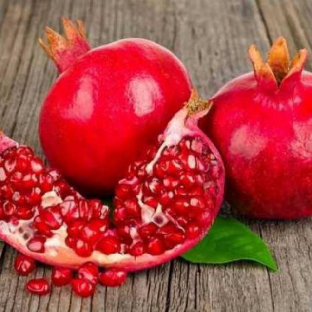 3 bibit buah delima merah/promo bibit delima/tanaman buah delima