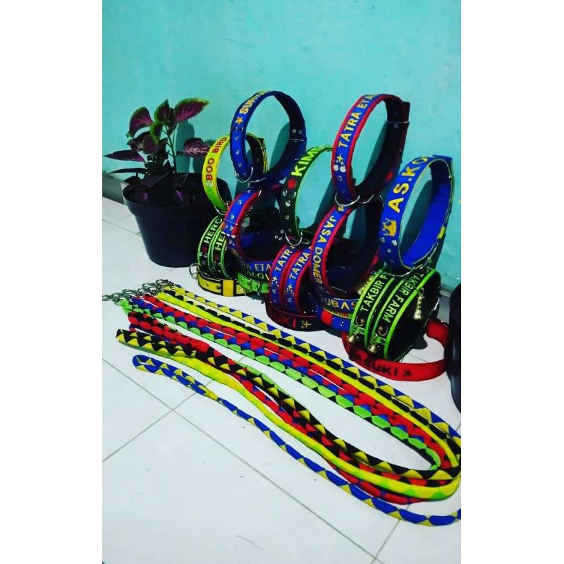 kalung kambing super+tali