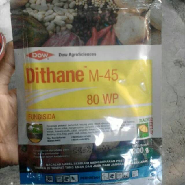 Fungisida dithane 80 wp untuk anggrek