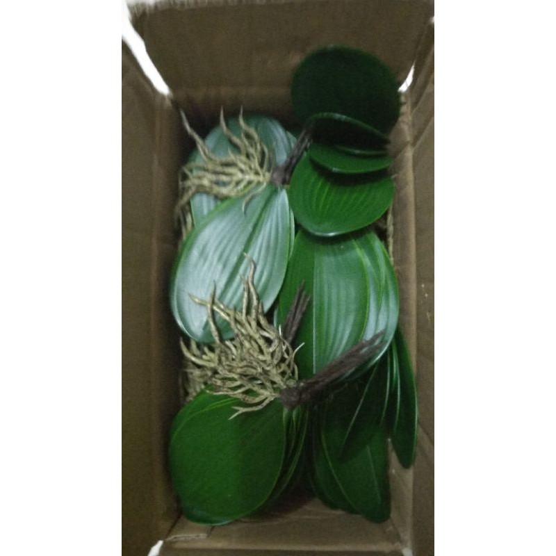 grosir daun anggrek latex  perlusin