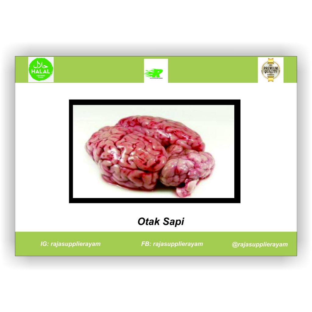 

Otak Sapi Premium (1 pcs)