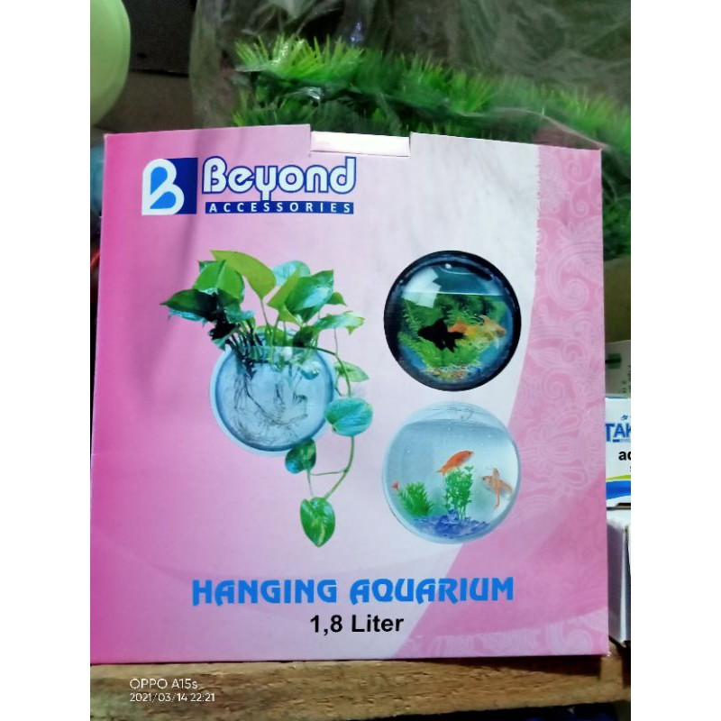 Aquarium dinding