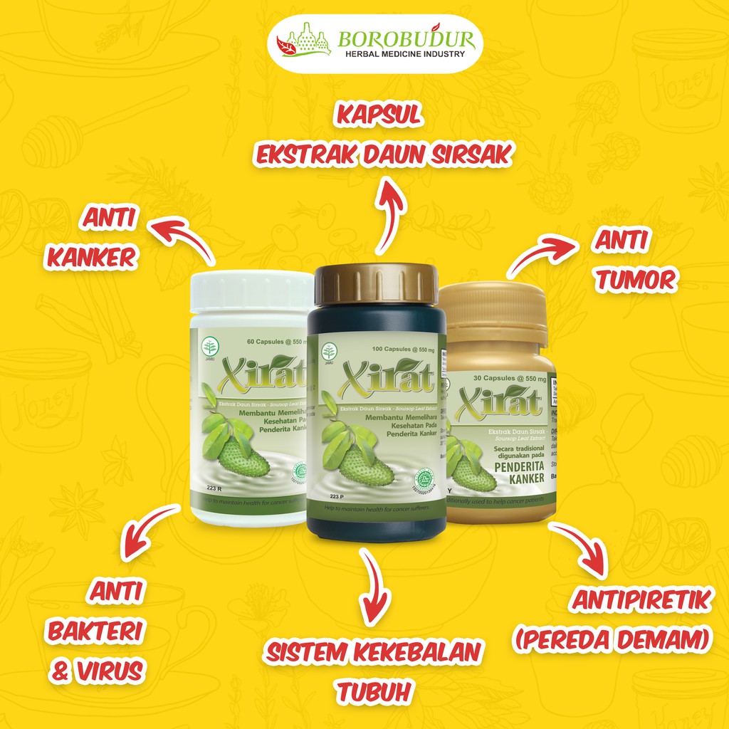 

Borobudur - Xirat || Untuk Pengobatan Kanker [ Dari Ekstrak Daun Sirsak ]