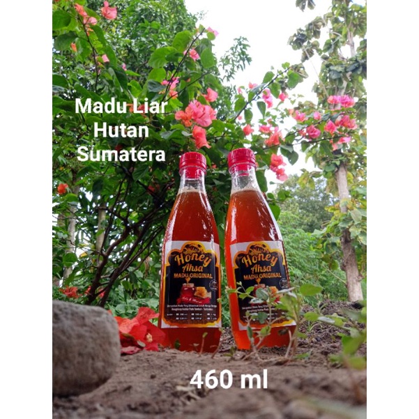 

Madu liar Hutan sumatera