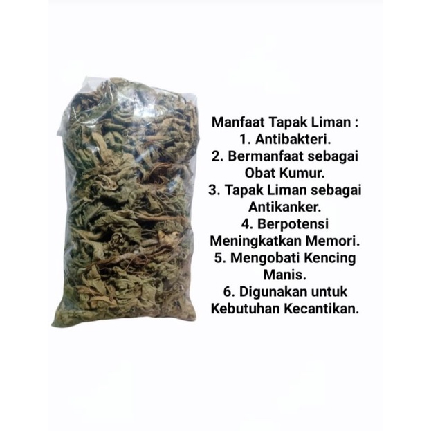 

Tapak liman kering/tapak gajah/tapak liman alami