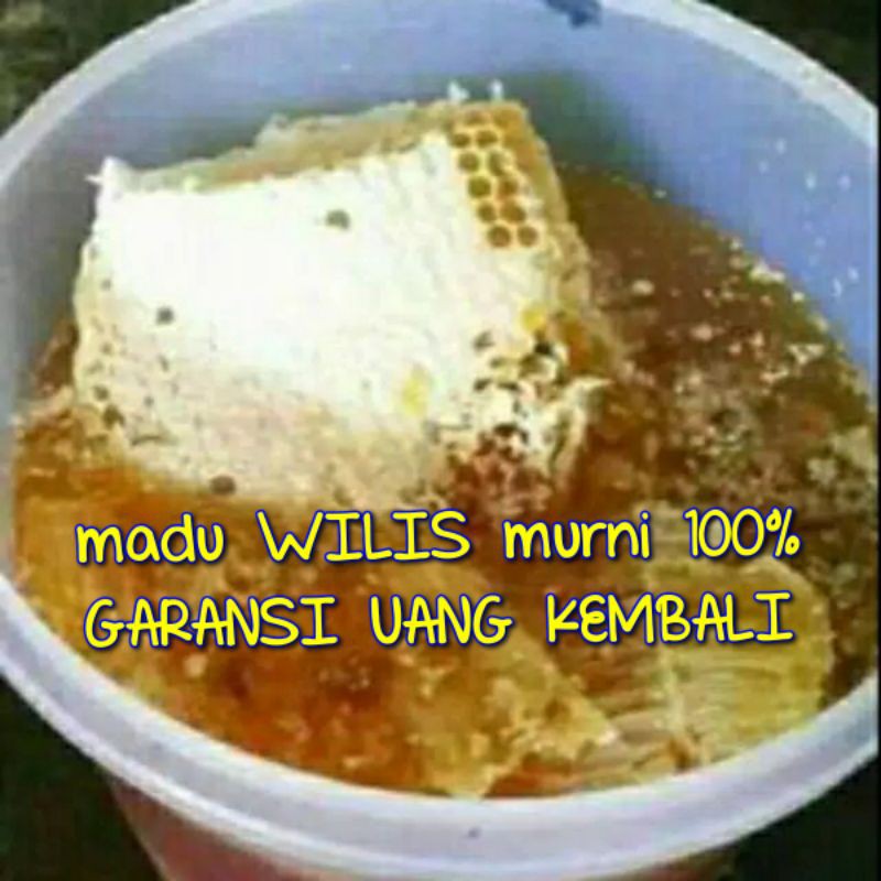 

madu murni, madu hutan, madu lebah 100% asli, garansi uang kembali