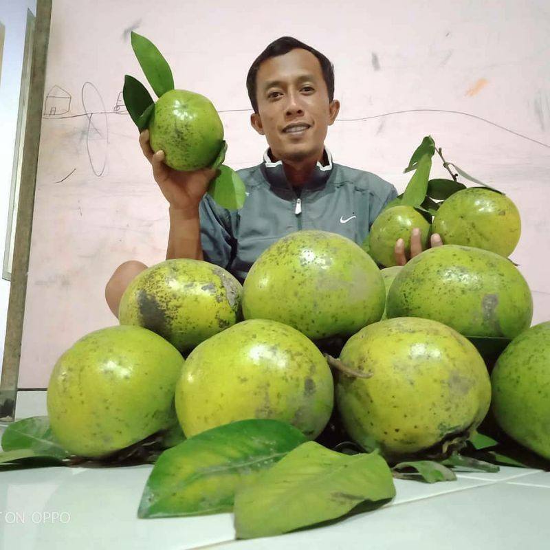 

Blacksapote!!rasapudingcoklat