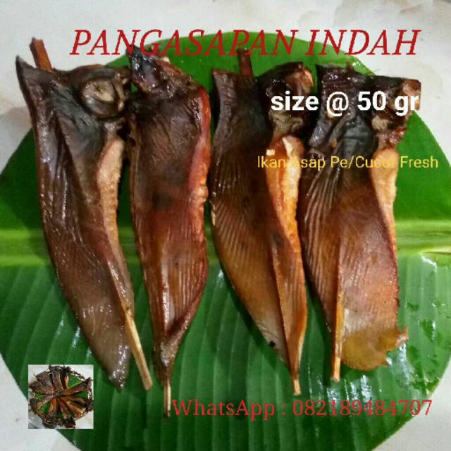 50+ Harga Kepala Ikan Manyung Mentah Pictures