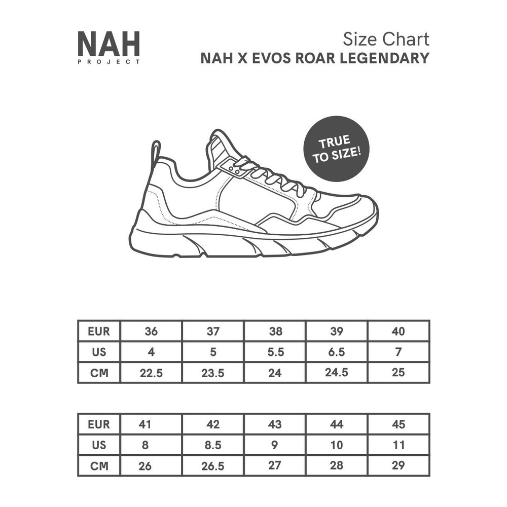 SNEAKERS ANAK ANAK ORI SNEAKER NAHPROJECT ORIGINAL - Sepatu  NAH x Evos Legendary