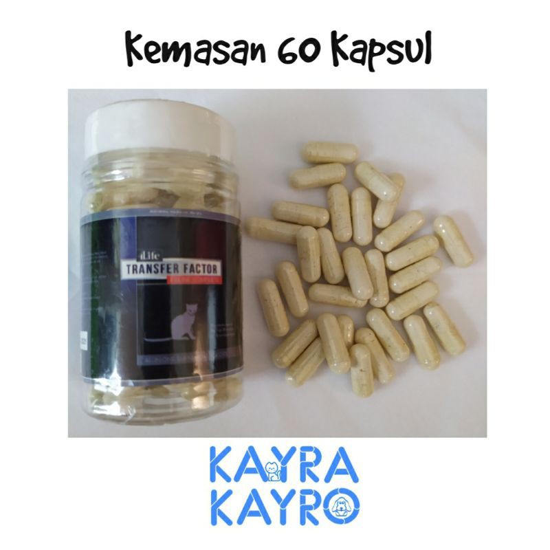 TF Plus 60 Kapsul - Obat Virus Flu Kucing/Feline/Cat