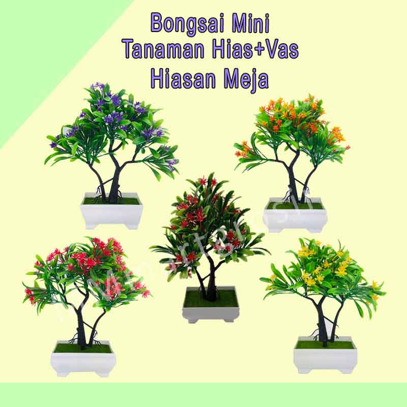 Bongsai mini / Tanaman hias / Penghias meja