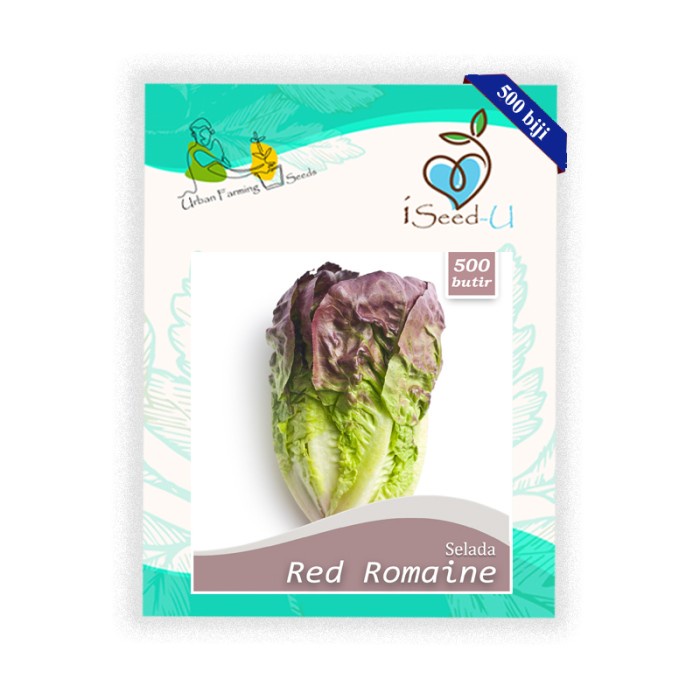 Benih-Bibit Selada Red Romaine (iSeed-U)