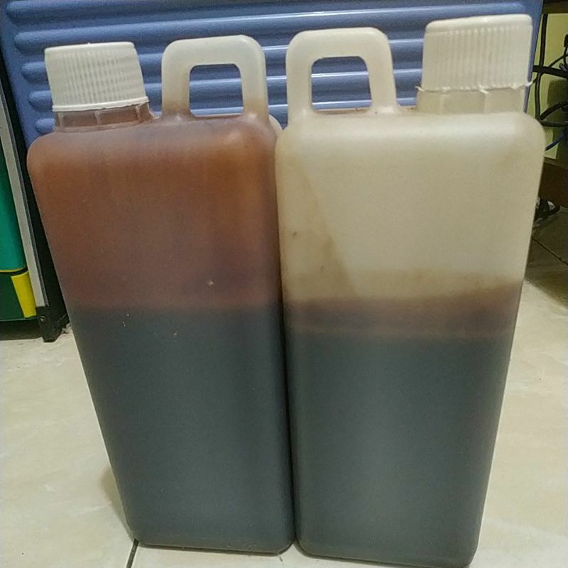 

MaduHutanAsli1kg/MaduHutanKalimantan