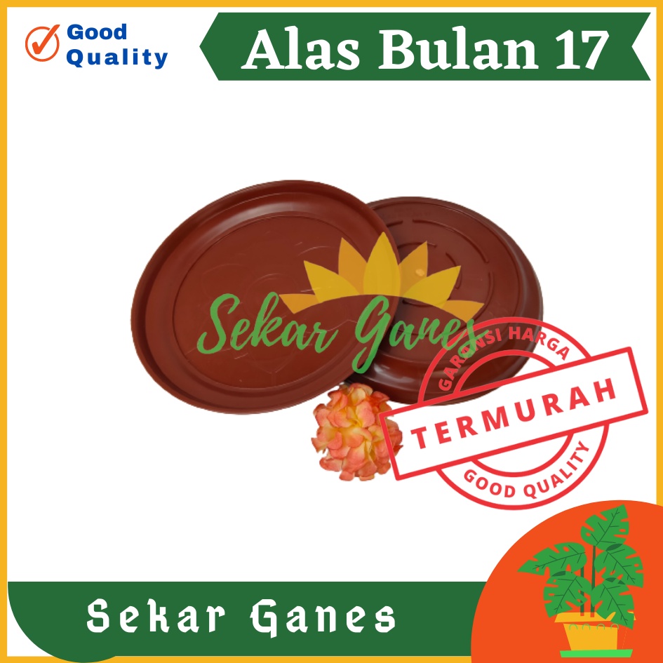 Sekarganes Tatakan Polos Alas Bulan 17 Merah BataTerracota Terracotta Merah Coklat By Garden Of Love Untuk Pot Tawon 18 21 Putih Pot Pirus Tawon