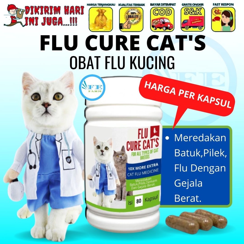 OBAT FLU / BATUK / PILEK KUCING | FORMULA 10X LEBIH EXTRA ECERAN FEFARM