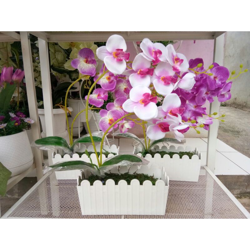 Anggrek Pot Pagar Plastik