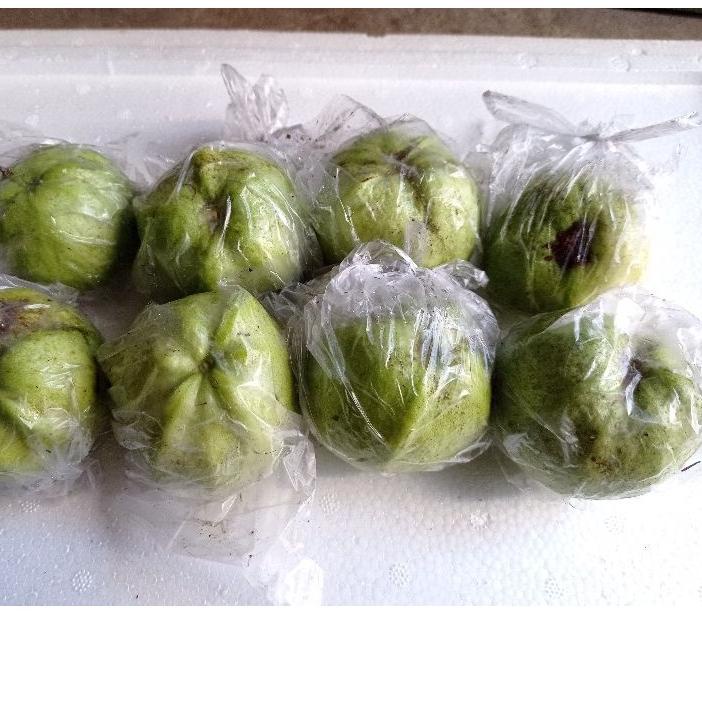

Jangan Diklik!✔️ Jambu kristal mini 1kg | Ready Stok | Termurah | Grosir