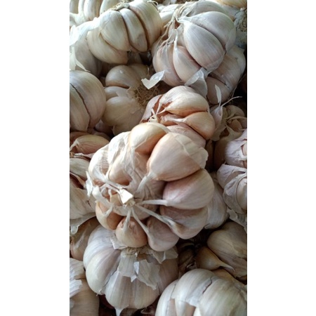 

BAWANG PUTIH BERSIH 250 gr