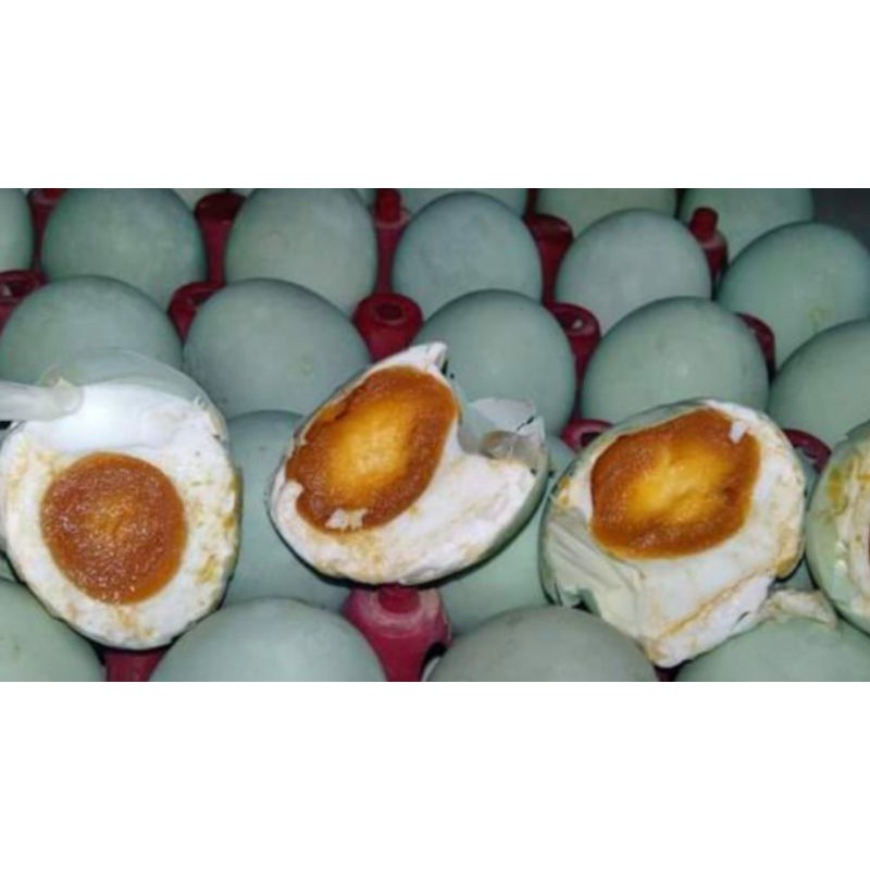 

TELOR ASIN MASIR ASLI TELOR BEBEK