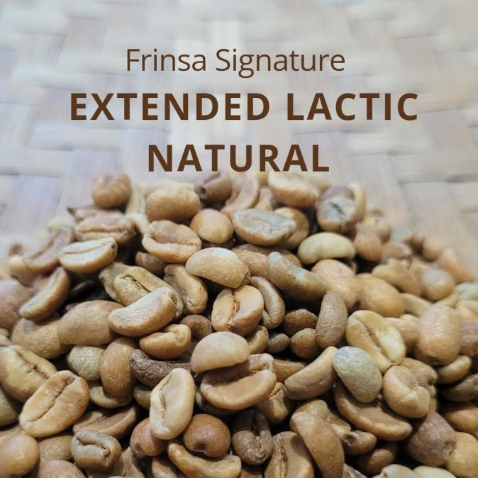 

Greenbean Frinsa Signature Extended Lactic Natural Crop 2021