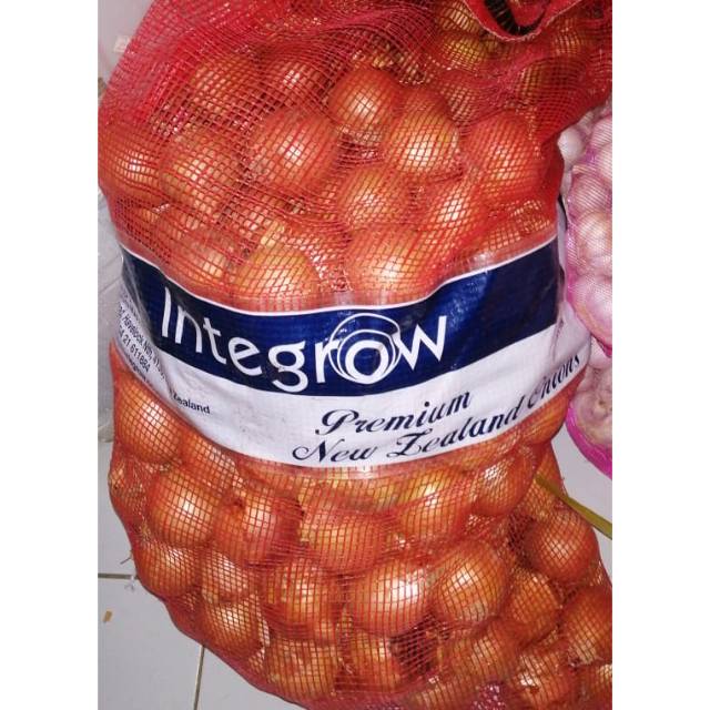 

Bawang bombay BESAR murah