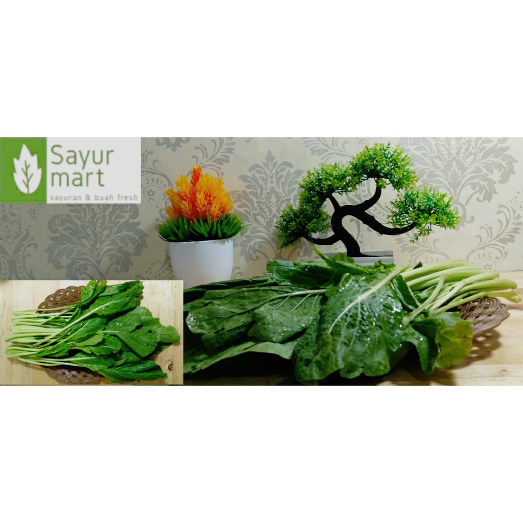 

TERMURAH SAWI HIJAU / CAH SAWI / MUSTARD GREENS / SAYUR SAYURAN SEGAR MAKANAN SURABAYA / PER IKAT