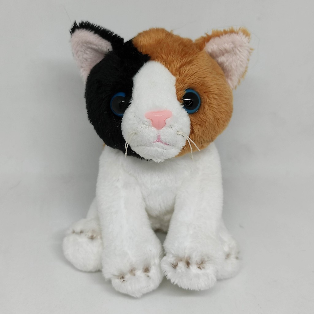 Boneka Kucing Gajah Wombat Anak Harimau Rakun Anjing Laut Boneka Kucing Gajah Wombat Anak Harimau Rakun Anjing Laut