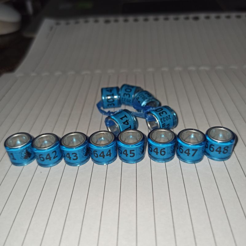 Ring Merpati Pos LLB INA 2022