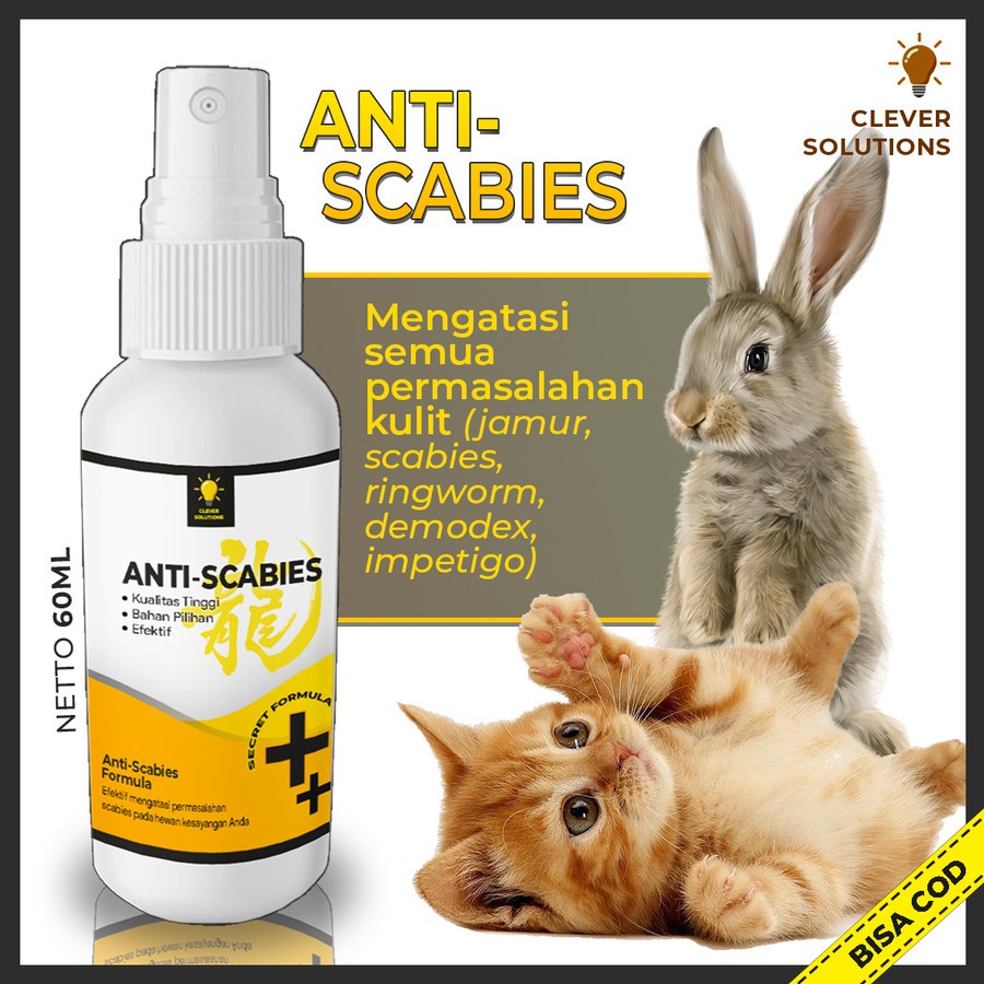 ANTI SCABIES Obat Jamur Kucing Obat Kulit Scabies Demodex Impetigo Jamur Kutu Parasit Cacing Hati Gatal Kulit 60ml