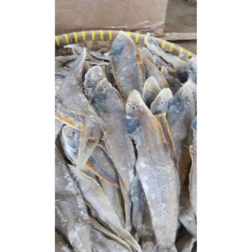 

Ikan asin lidah 500 G