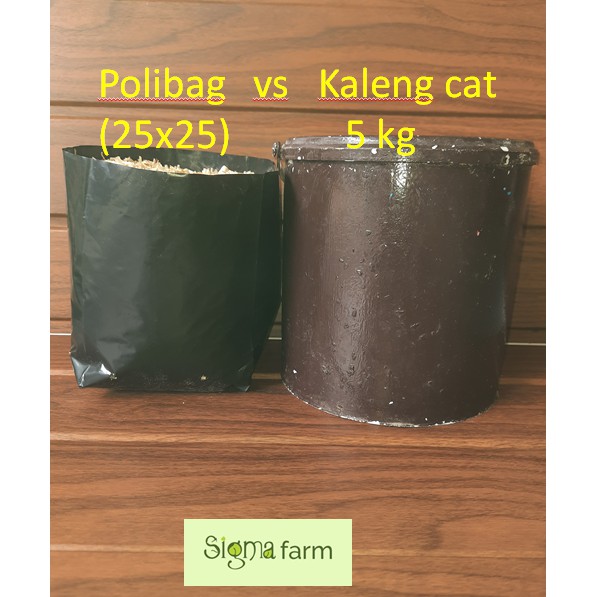 Plastik Polibag Tanaman Ukuran 25 x 25 cm | Polybag untuk Tanaman