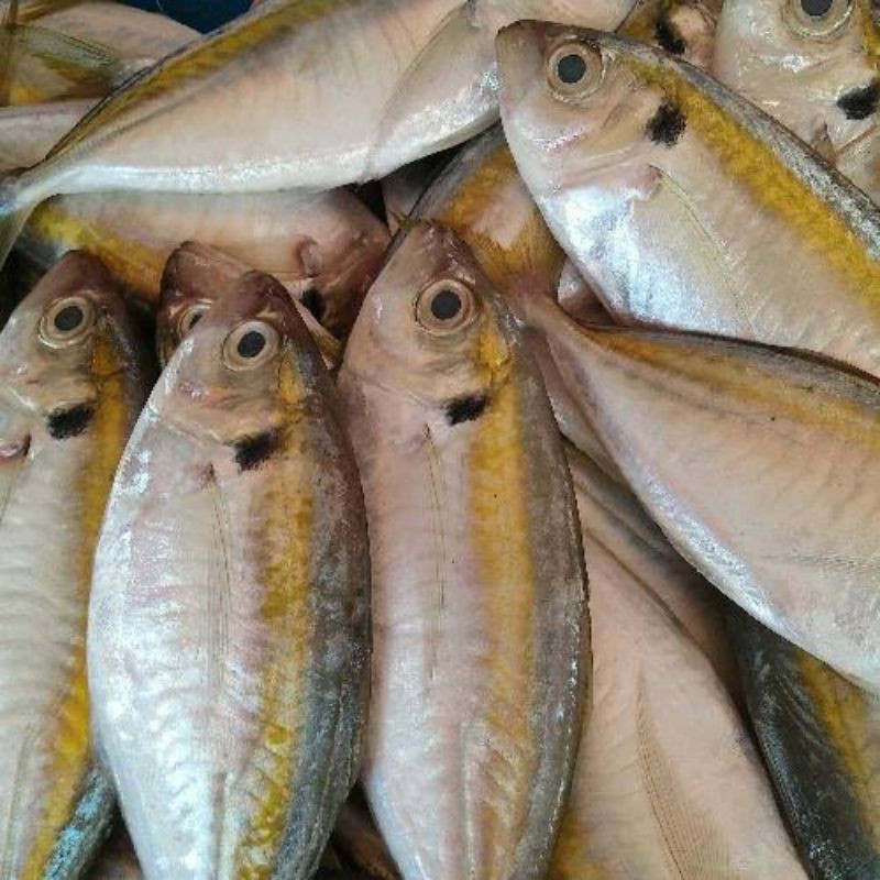 

Ikan Selar Segar - 1 kg ( Jabodetabek )